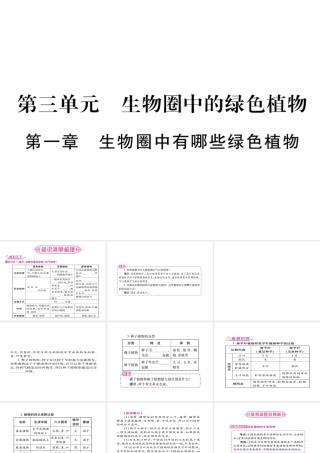 （广西玉林）春中考生物 第3单元 生物圈中的绿色植物复习课件-人教版初中九年级全册生物课件
