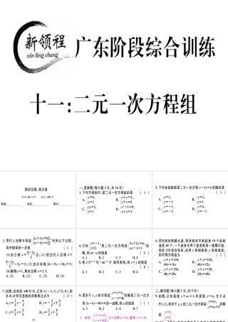 （广东专级数学上册 阶段综合训练十一 二元一次方程组习题讲评课件 （新版）北师大版-（新版）北师大级上册数学课件