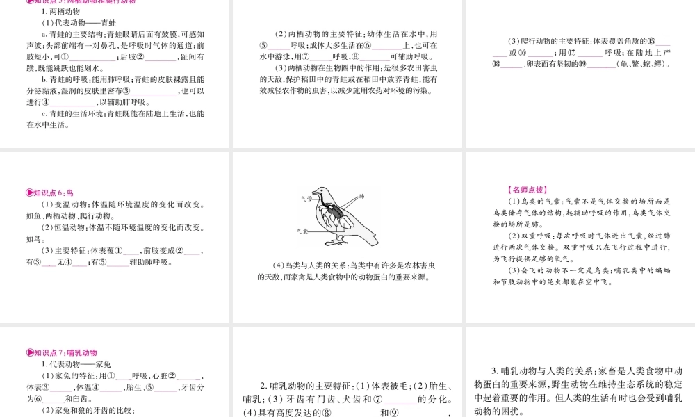 （广西玉林）春中考生物 第5单元 生物圈中的其他生物复习课件-人教版初中九年级全册生物课件