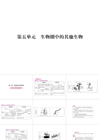 （广西玉林）春中考生物 第5单元 生物圈中的其他生物复习课件-人教版初中九年级全册生物课件