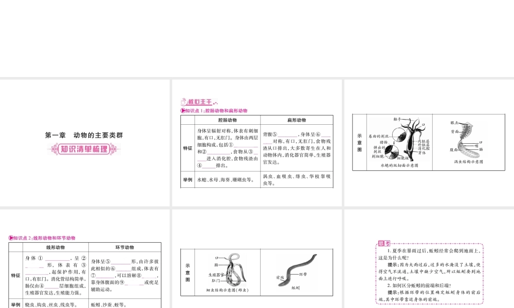 （广西玉林）春中考生物 第5单元 生物圈中的其他生物复习课件-人教级全册生物课件