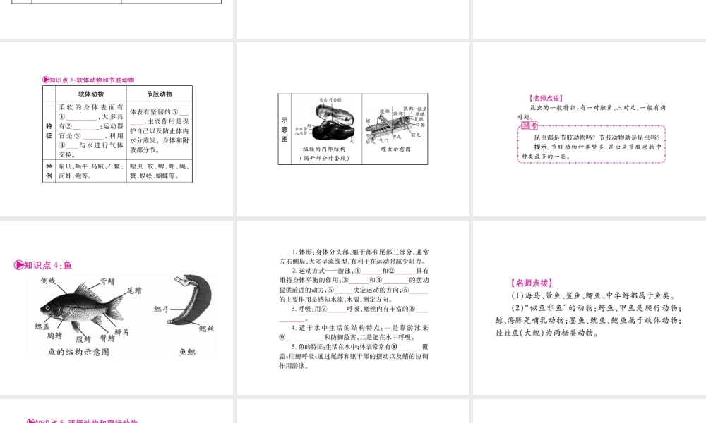 （广西玉林）春中考生物 第5单元 生物圈中的其他生物复习课件-人教级全册生物课件