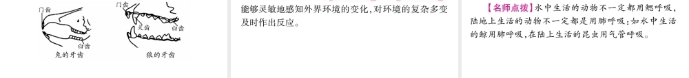 （广西玉林）春中考生物 第5单元 生物圈中的其他生物复习课件-人教级全册生物课件