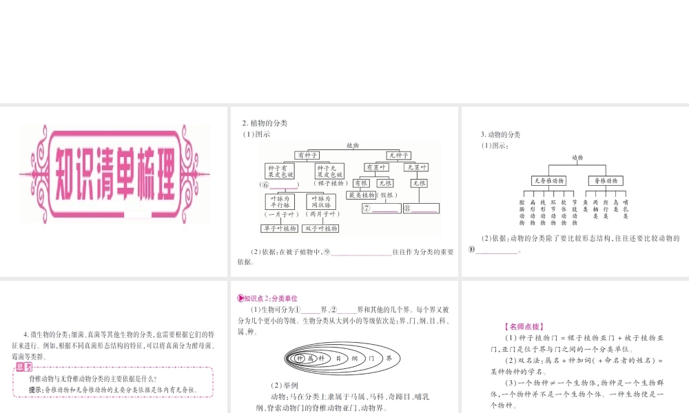 （广西玉林）春中考生物 第6单元 生物的多样性及其保护复习课件-人教版初中九年级全册生物课件