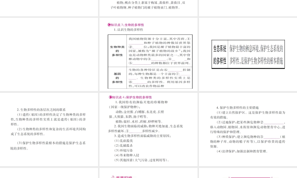 （广西玉林）春中考生物 第6单元 生物的多样性及其保护复习课件-人教版初中九年级全册生物课件