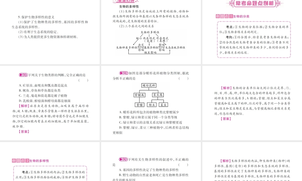 （广西玉林）春中考生物 第6单元 生物的多样性及其保护复习课件-人教级全册生物课件