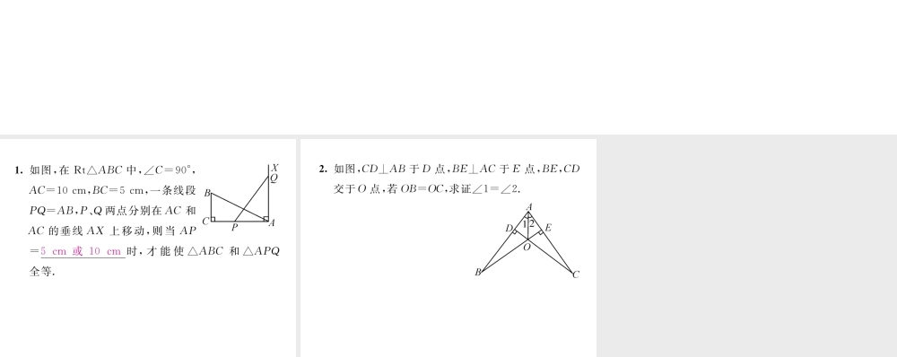 （毕节专版）八年级数学下册 第1章 三角形的证明 课题6 直角三角形全等的判定当堂检测课件 （新版）北师大版-（新版）北师大版初中八年级下册数学课件
