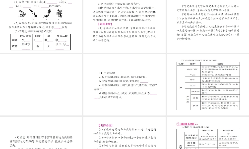 （广西玉林）春中考生物 第7单元 生物圈中生命的延续和发展复习课件-人教级全册生物课件