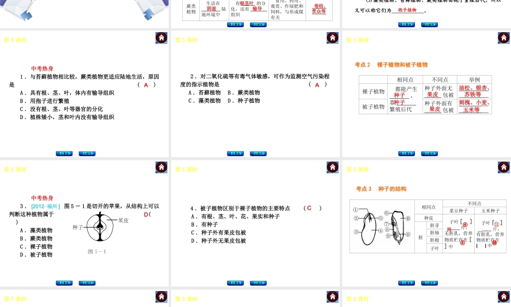 （新课标）（包头专版）2014中考生物复习方案 第二单元 生物圈中的绿色植物（考点聚焦+综合探究）课件 新人教版