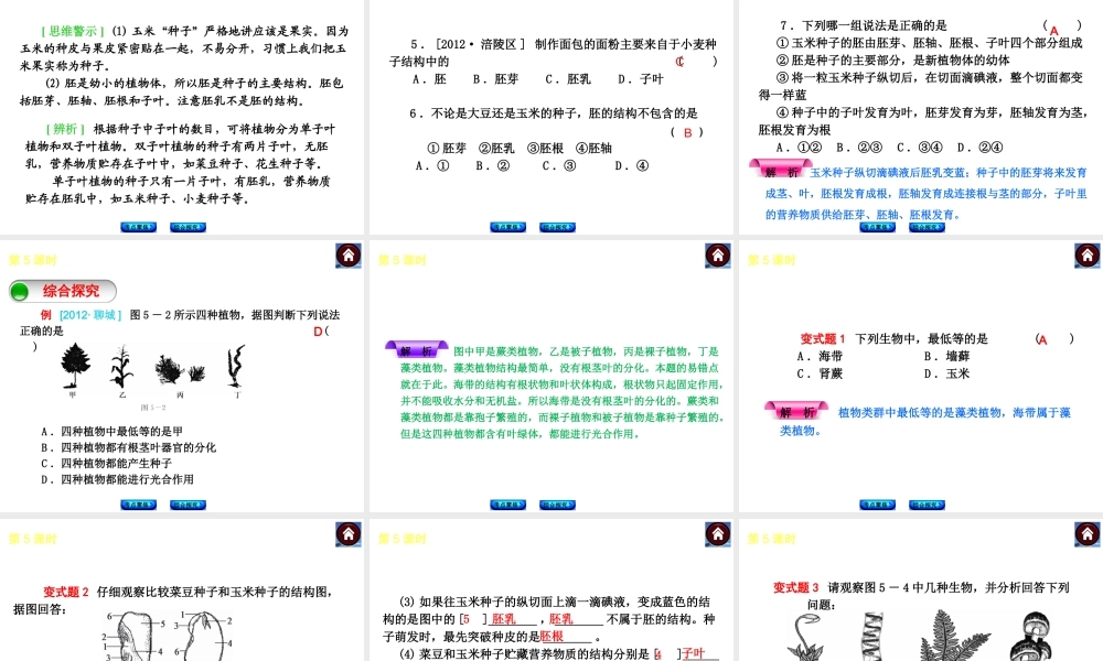 （新课标）（包头专版）2014中考生物复习方案 第二单元 生物圈中的绿色植物（考点聚焦+综合探究）课件 新人教版