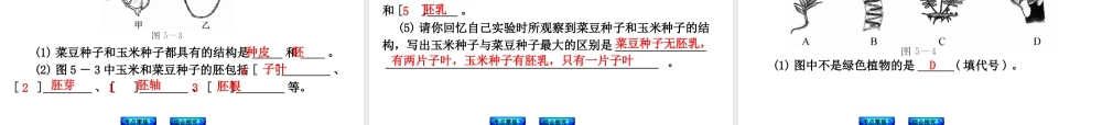 （新课标）（包头专版）2014中考生物复习方案 第二单元 生物圈中的绿色植物（考点聚焦+综合探究）课件 新人教版