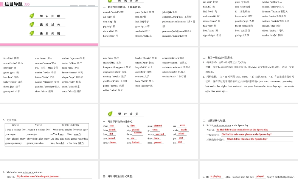 （广州沈阳通用）七年级英语上册 小升初入学知识衔接学案（第10课时）课件 牛津深圳版-牛津深圳版初中七年级上册英语课件