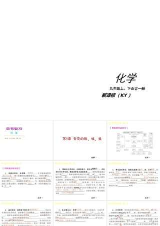 （新课标）2012-2013学年九年级化学下册 第8章 常见的酸、碱、盐同步课件 粤教版