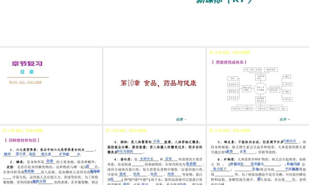 （新课标）2012-2013学年九年级化学下册 第10章 食品、药品与健康同步课件 粤教版