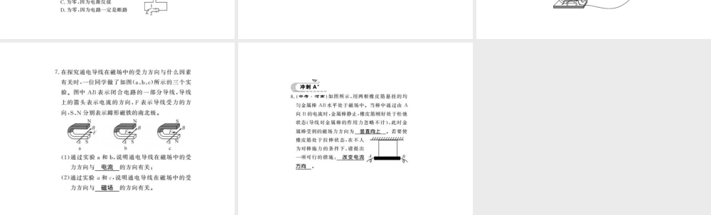 （桂林专版）秋九年级物理下册 17.2 探究电动机的转动原理习题课件 （新版）粤教沪版-（新版）粤教沪版初中九年级下册物理课件