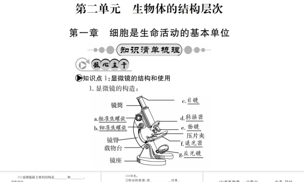 （广西玉林地区）中考生物 知识系统复习 第二单元 生物体的结构层次课件-人教版初中九年级全册生物课件