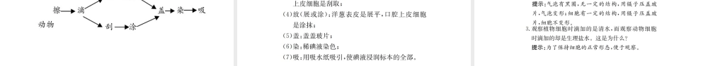 （广西玉林地区）中考生物 知识系统复习 第二单元 生物体的结构层次课件-人教级全册生物课件