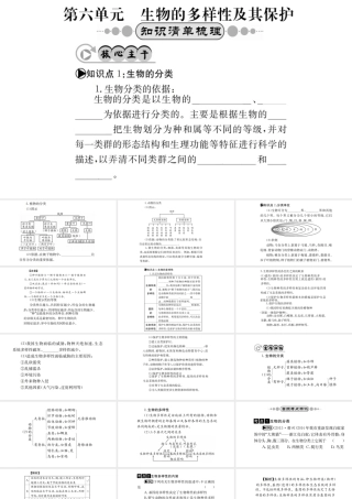 （广西玉林地区）中考生物 知识系统复习 第六单元 生物的多样性及其保护课件-人教版初中九年级全册生物课件