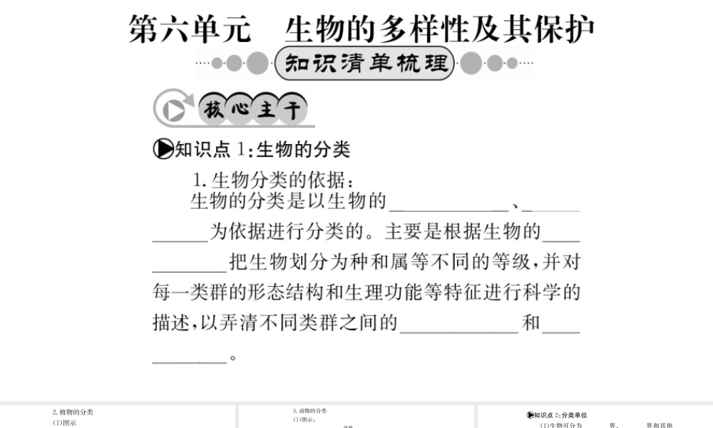 （广西玉林地区）中考生物 知识系统复习 第六单元 生物的多样性及其保护课件-人教级全册生物课件