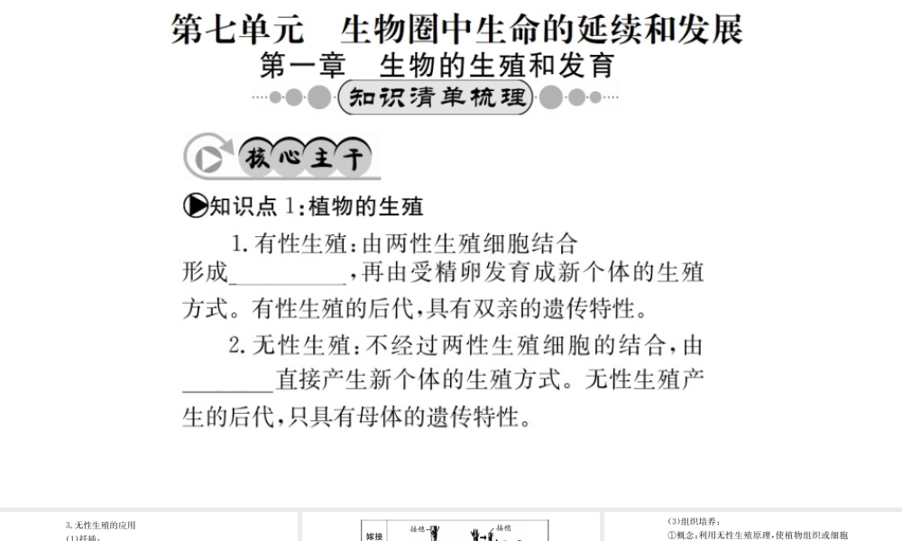 （广西玉林地区）中考生物 知识系统复习 第七单元 生物圈中生物的延续与发展课件-人教版初中九年级全册生物课件