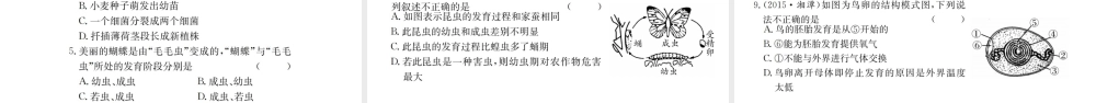 （广西玉林地区）中考生物 知识系统复习 第七单元 生物圈中生物的延续与发展课件-人教版初中九年级全册生物课件