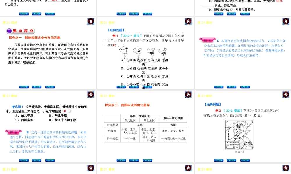 （新课标）2014中考地理复习方案 第21课时 中国的农业（课标解读+考点精讲+要点探究）课件 新人教版