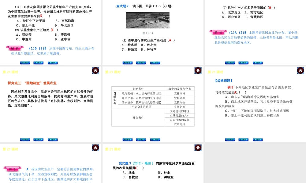 （新课标）2014中考地理复习方案 第21课时 中国的农业（课标解读+考点精讲+要点探究）课件 新人教版