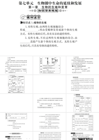 （广西玉林地区）中考生物 知识系统复习 第七单元 生物圈中生物的延续与发展课件-人教级全册生物课件