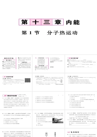 （毕节专版）九年级物理全册 第13章 第1节 分子热运动作业课件 （新版）新人教版-（新版）新人教版初中九年级全册物理课件