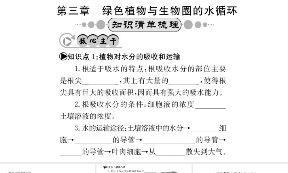 （广西玉林地区）中考生物 知识系统复习 第三单元 第3-6章课件-人教版初中九年级全册生物课件