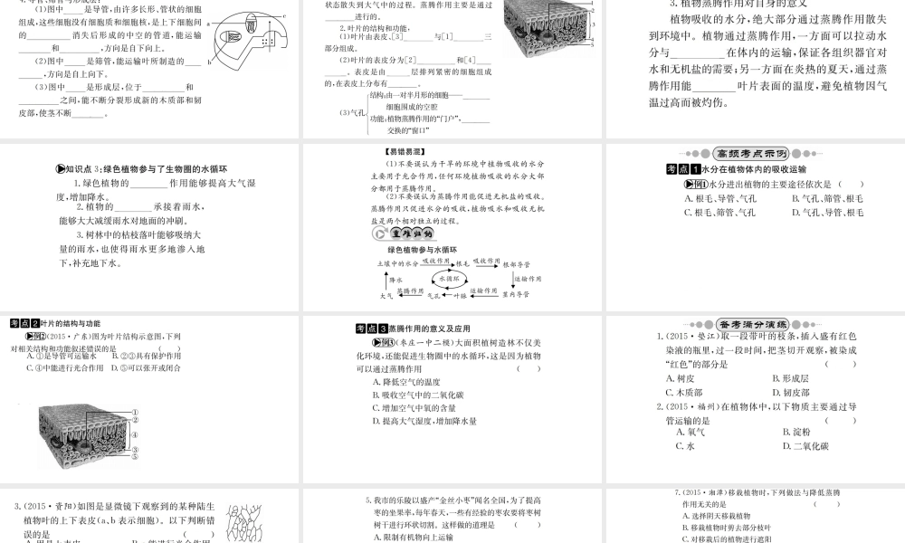 （广西玉林地区）中考生物 知识系统复习 第三单元 第3-6章课件-人教版初中九年级全册生物课件