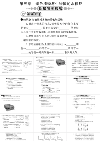 （广西玉林地区）中考生物 知识系统复习 第三单元 第3-6章课件-人教级全册生物课件