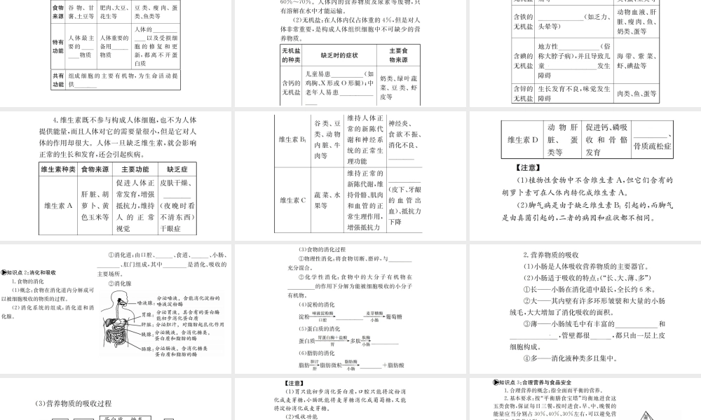 （广西玉林地区）中考生物 知识系统复习 第四单元 第二章 人体的营养课件-人教版初中九年级全册生物课件