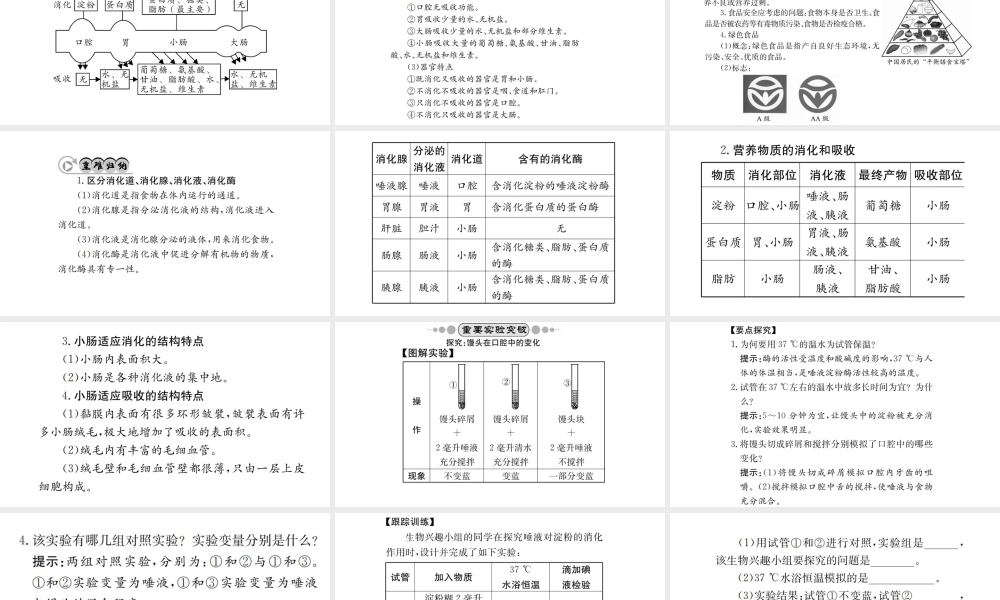（广西玉林地区）中考生物 知识系统复习 第四单元 第二章 人体的营养课件-人教级全册生物课件
