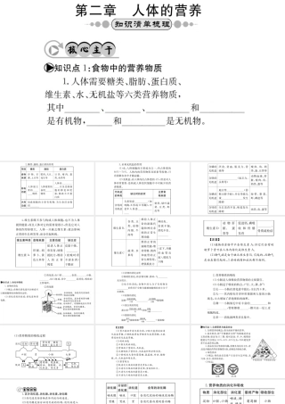 （广西玉林地区）中考生物 知识系统复习 第四单元 第二章 人体的营养课件-人教级全册生物课件