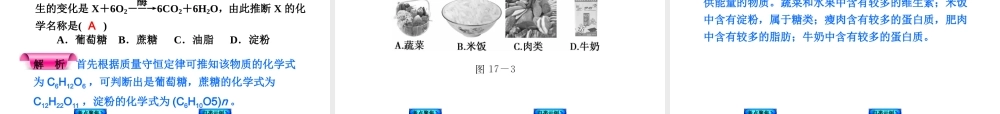 （新课标）2014中考化学复习方案 第8章 食品中的有机化合物（考点聚焦+归类示例，含2013试题）课件 沪教版