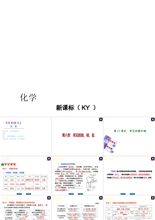 （新课标）2014中考化学复习方案 第八章 常见的酸、碱、盐（考点聚焦+归类示例，含2013试题）课件 粤教版