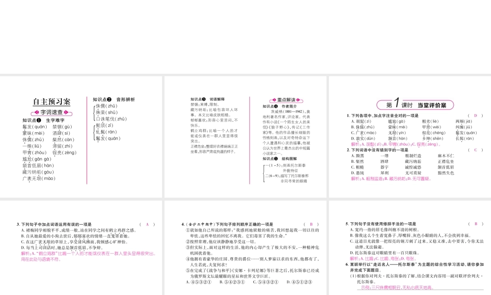 （毕节专版）八年级语文上册 第二单元 7列夫 托尔斯泰习题课件 新人教版-新人教版初中八年级上册语文课件