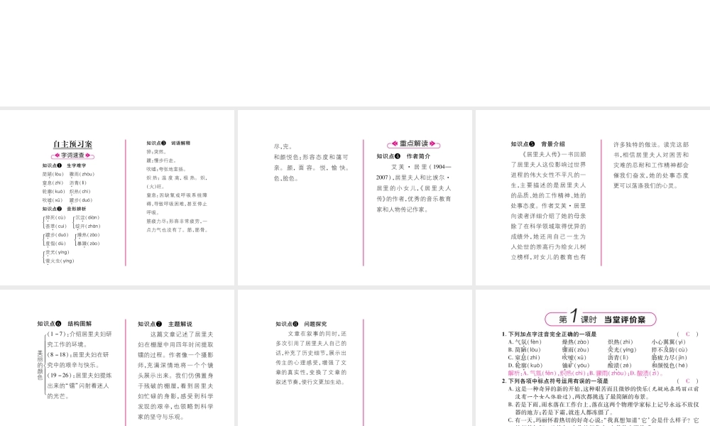 （毕节专版）八年级语文上册 第二单元 8美丽的颜色习题课件 新人教版-新人教版初中八年级上册语文课件