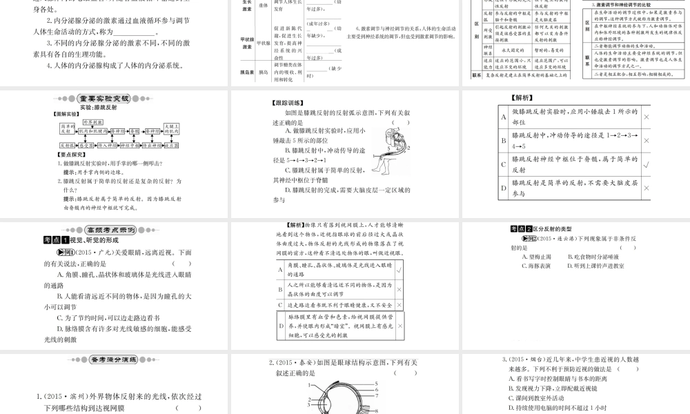 （广西玉林地区）中考生物 知识系统复习 第四单元 第六章 人体生命活动的调节课件-人教级全册生物课件