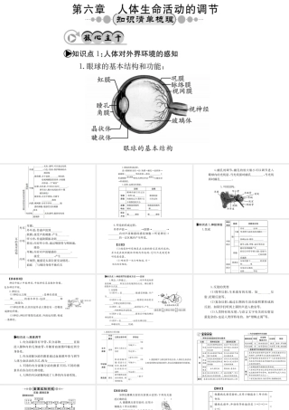 （广西玉林地区）中考生物 知识系统复习 第四单元 第六章 人体生命活动的调节课件-人教级全册生物课件