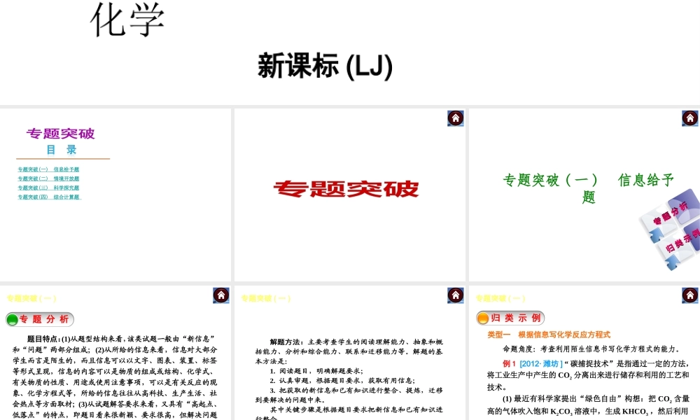 （新课标）2014中考化学复习方案 专题突破（考点聚焦+归类示例，含2013试题）课件 鲁教版