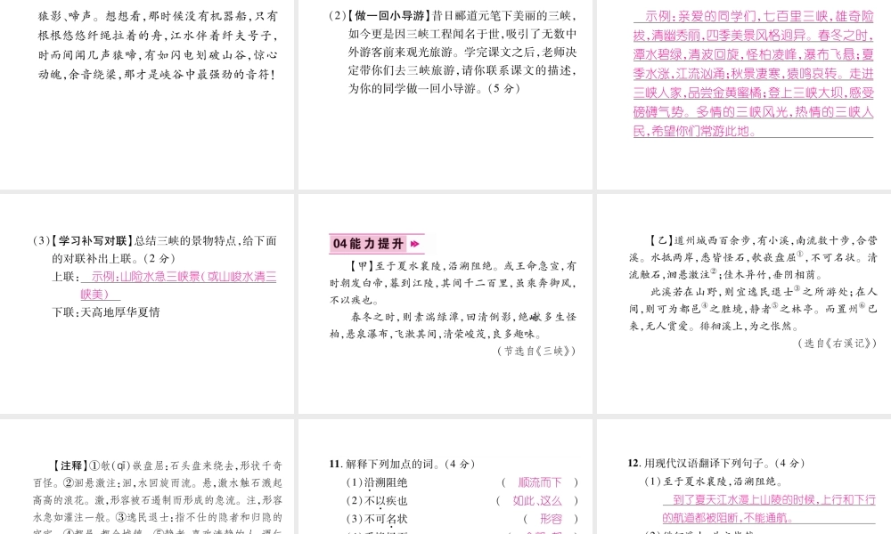 （毕节专版）八年级语文上册 第三单元 9三峡（古文今译）习题课件 新人教版-新人教版初中八年级上册语文课件