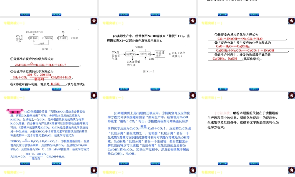 （新课标）2014中考化学复习方案 专题突破篇（考点聚焦+归类示例，含2013试题）课件 沪教版