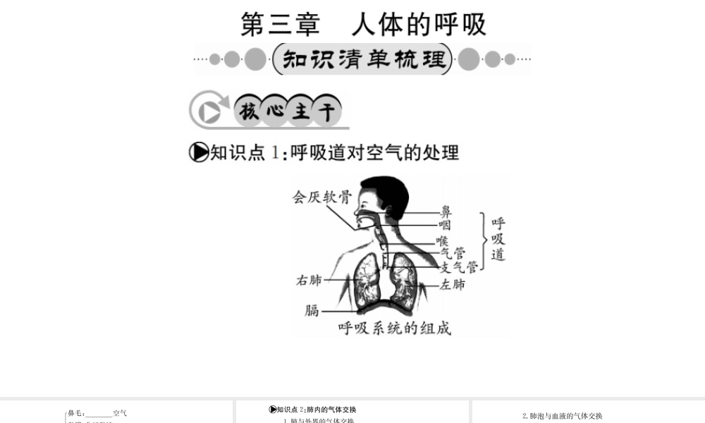 （广西玉林地区）中考生物 知识系统复习 第四单元 第三章 人体的呼吸课件-人教版初中九年级全册生物课件