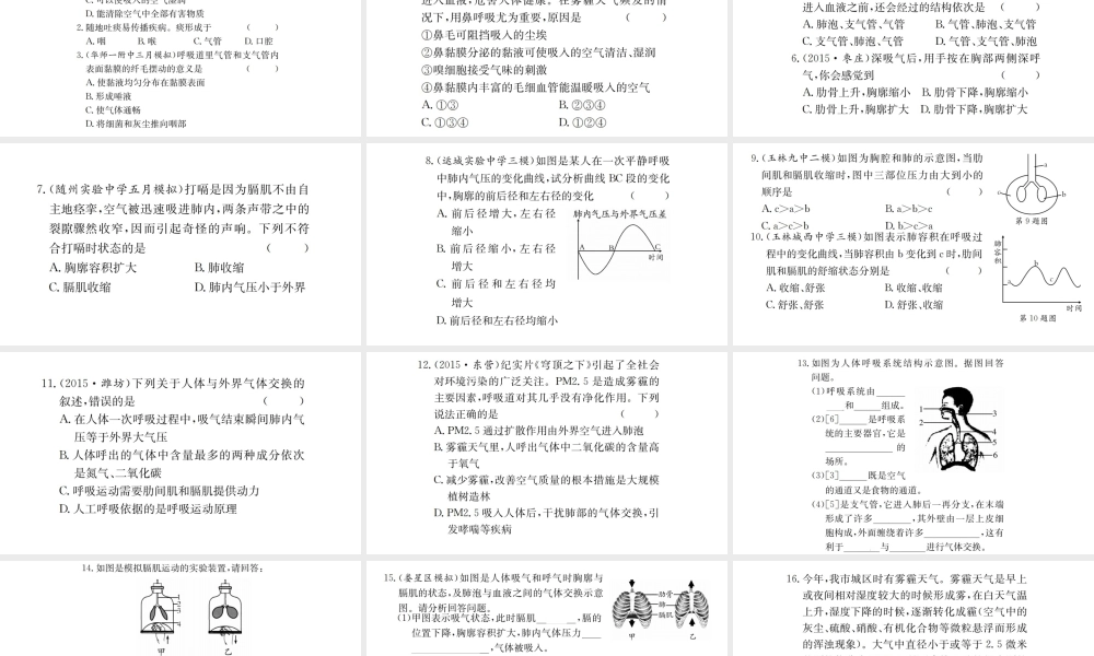 （广西玉林地区）中考生物 知识系统复习 第四单元 第三章 人体的呼吸课件-人教版初中九年级全册生物课件