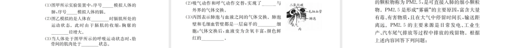 （广西玉林地区）中考生物 知识系统复习 第四单元 第三章 人体的呼吸课件-人教版初中九年级全册生物课件