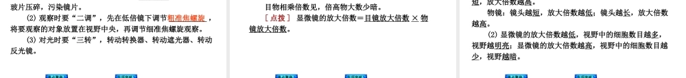 （新课标）2014中考生物复习方案 第1单元 探索生命的奥秘（考点聚焦+归类探究+回归教材）课件 苏教版