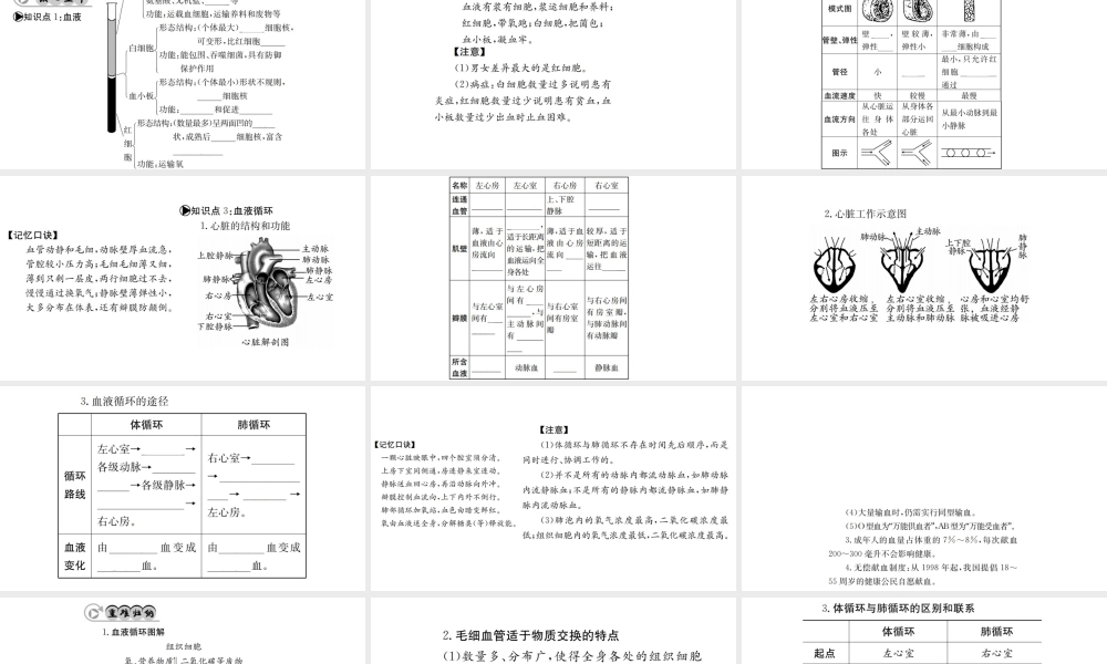 （广西玉林地区）中考生物 知识系统复习 第四单元 第四章 人体内物质的运输课件-人教版初中九年级全册生物课件