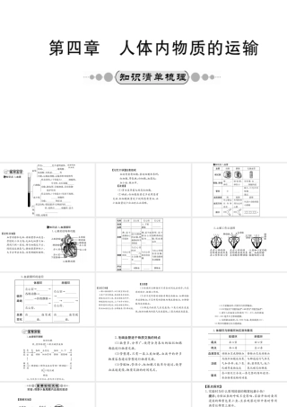 （广西玉林地区）中考生物 知识系统复习 第四单元 第四章 人体内物质的运输课件-人教版初中九年级全册生物课件